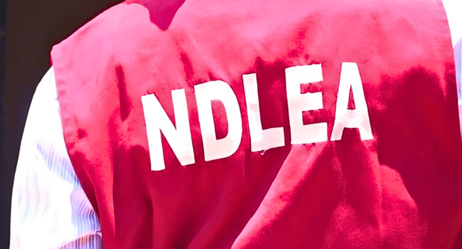 NDLEA Cracks Down on International Drug Syndicate, Seizes N5.3bn Cocaine